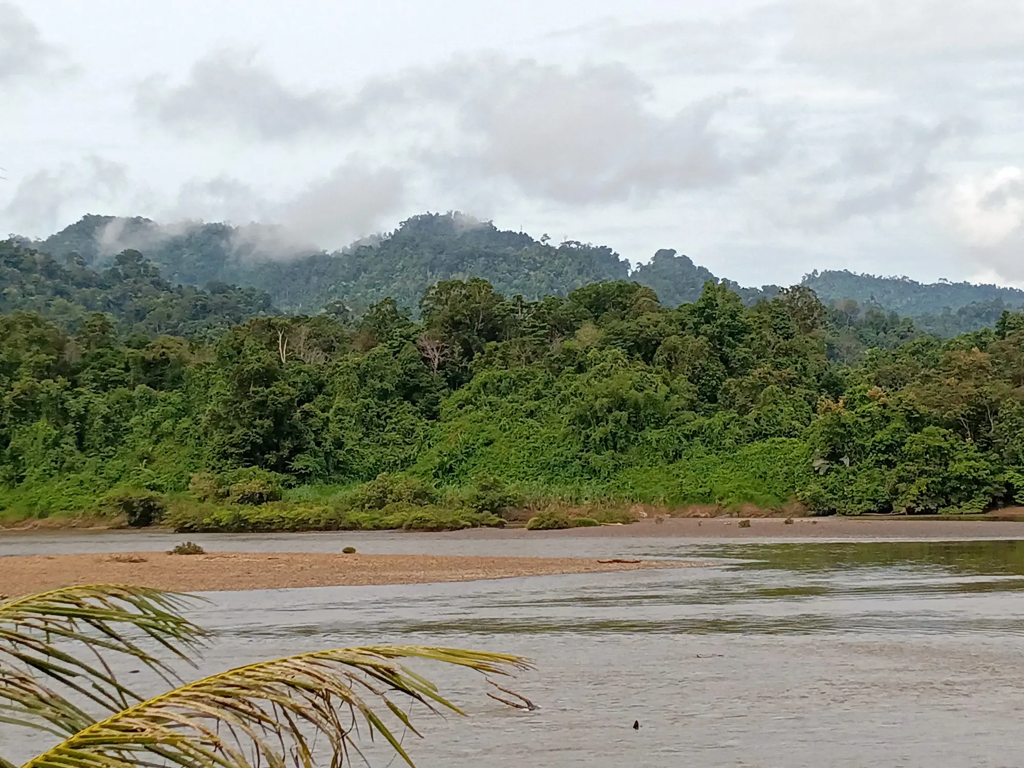 scenic view of a river cutting through dense jungle